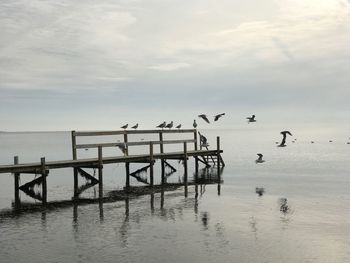 Birds in sea against sky
