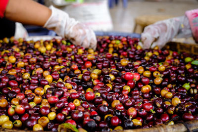 Close-up of fruits in market