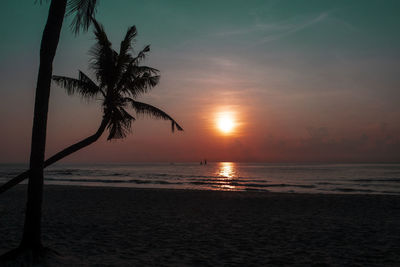 Silhouette palm tree by sea against sky during sunset