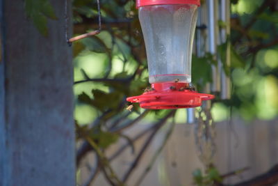 Close-up of red bird feeder