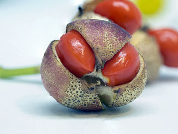 Close-up of fruits on white background