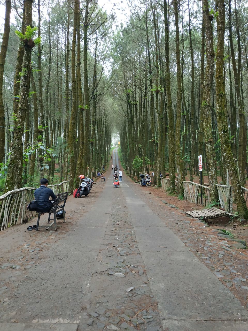 PEOPLE WALKING ON FOOTPATH IN FOREST