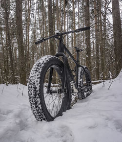 Fat bike in the snowy forest