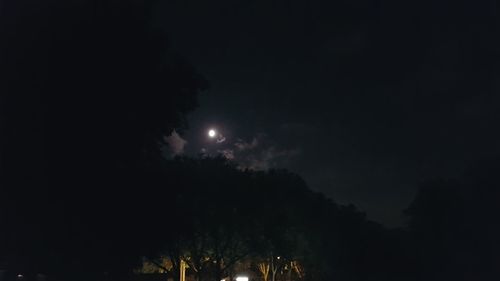 Low angle view of illuminated trees