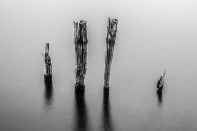 High angle view of wooden post in sea