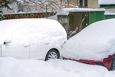 snow