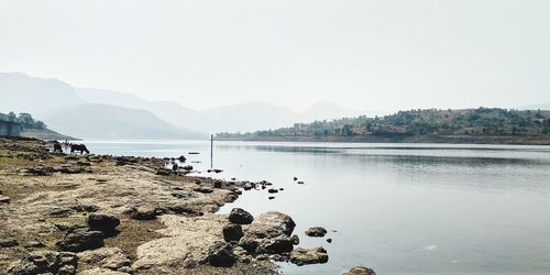 Scenic view of lake against clear sky