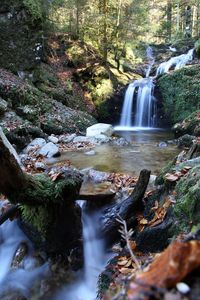 View of waterfall in forest