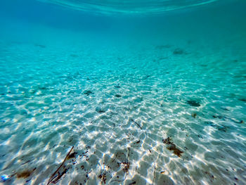 High angle view of swimming in sea