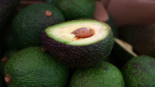 Close-up of avocados