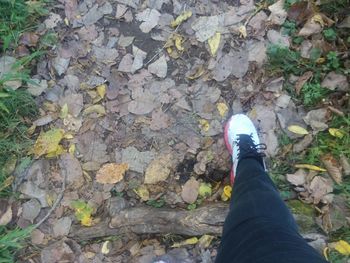 Low section of man standing on autumn leaves