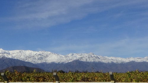 Scenic view of snowcapped mountains against blue sky