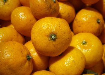 Full frame shot of oranges