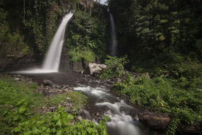 Scenic view of waterfall in forest