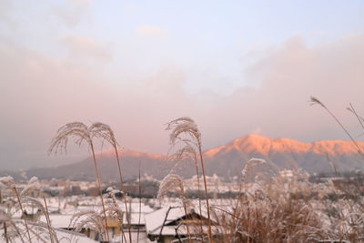 Panoramic view of land against sky during sunset