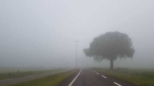 Road amidst trees in foggy weather against sky during winter