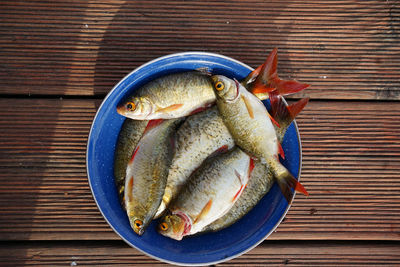 Directly above shot of fish in plate