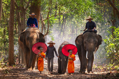 People with elephants in forest