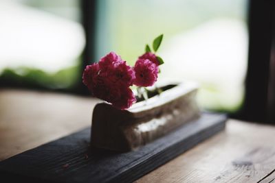 Close-up of flower on table