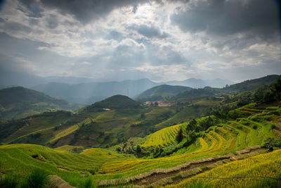 Scenic view of agricultural field against sky