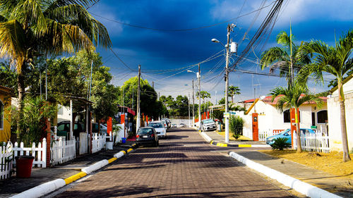 Street amidst palm trees and buildings against blue sky