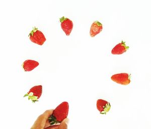 Close-up of red berries against white background