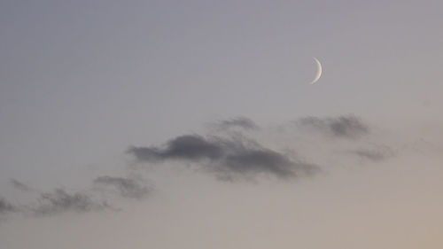 Low angle view of moon in sky at night