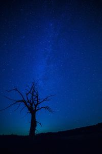 Low angle view of starry sky