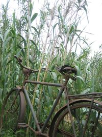 Close-up of bicycle wheel on field