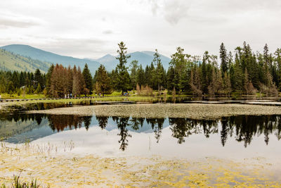 Scenic view of lake with mountains in background