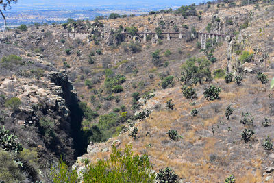 Scenic view of landscape