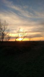 Silhouette tree against sky during sunset