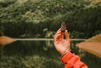 Close-up of hand holding a pine cone