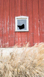 Broken window of old barn