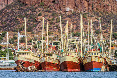 Sailboats moored in sea