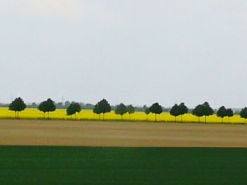 Scenic view of field against clear sky