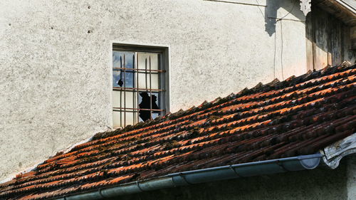 Low angle view of building