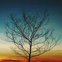 Low angle view of bare trees against sky at sunset