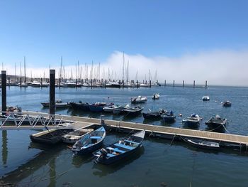 Sailboats moored at harbor