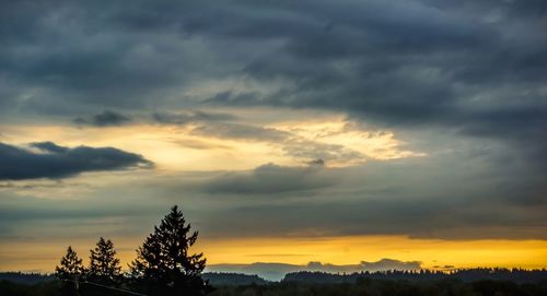 Silhouette trees against dramatic sky during sunset