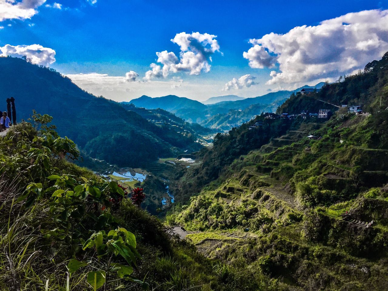 mountain, cloud - sky, sky, scenics - nature, landscape, environment, tranquil scene, beauty in nature, nature, plant, tranquility, tree, mountain range, no people, non-urban scene, green color, land, day, growth, outdoors, range, mountain peak