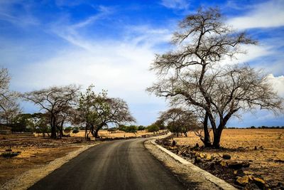 Road amidst trees on field against sky