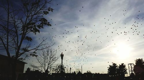 Low angle view of silhouette birds flying against sky at sunset