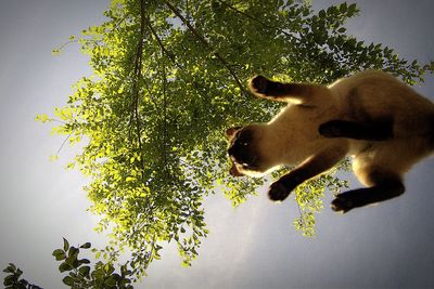 Close-up of carving on wall