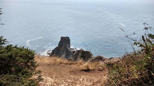 High angle view of plants by sea