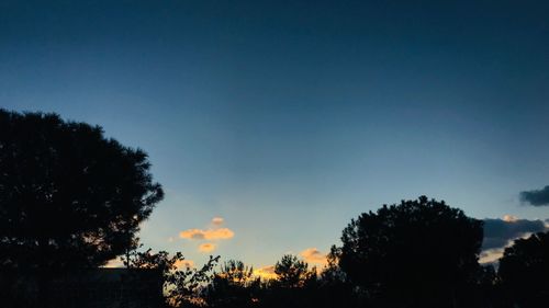 Low angle view of silhouette trees against sky at sunset