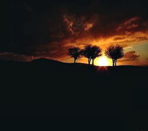 Silhouette of trees at sunset