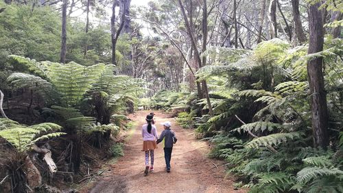 Rear view of women walking on footpath in forest