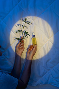 Blanket of dreams, harnessing the calming essence of cbd and cannabis for restful sleep