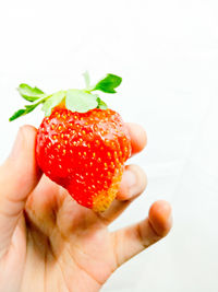 Close-up of man holding strawberry over white background